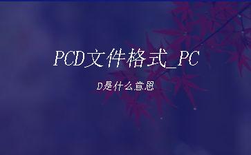 PCD文件格式_PCD是什么意思"