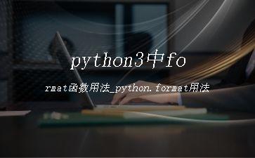 python3中format函数用法_python.format用法"