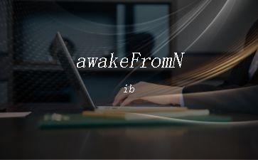 awakeFromNib"
