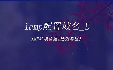 lamp配置域名_LAMP环境搭建[通俗易懂]"