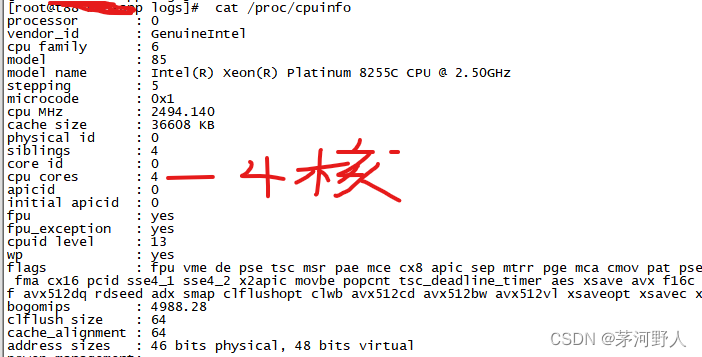 linux查看服务器内存和cpu_怎么看cpu是几核的