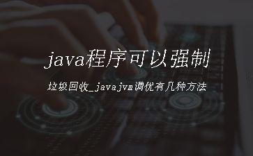 java程序可以强制垃圾回收_javajvm调优有几种方法"