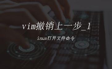 vim撤销上一步_linux打开文件命令"
