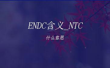 ENDC含义_NTC什么意思"