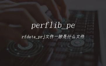 perflib_perfdata_prj文件一般是什么文件"
