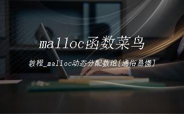malloc函数菜鸟教程_malloc动态分配数组[通俗易懂]"