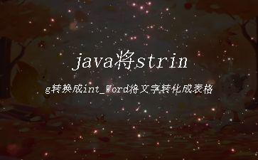java将string转换成int_Word将文字转化成表格"