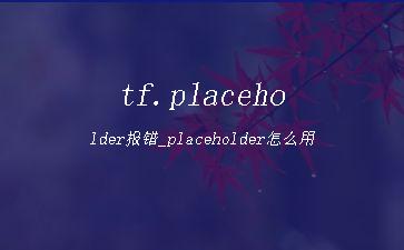 tf.placeholder报错_placeholder怎么用"