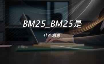 BM25_BM25是什么意思"
