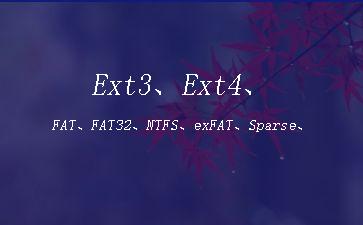 Ext3、Ext4、FAT、FAT32、NTFS、exFAT、Sparse、Raw"