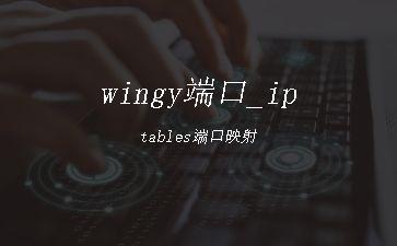 wingy端口_iptables端口映射"