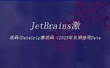 JetBrains激活码(DataGrip激活码（2023年长期使用DataGrip激活码）)"