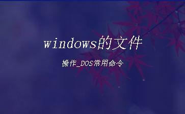 windows的文件操作_DOS常用命令"