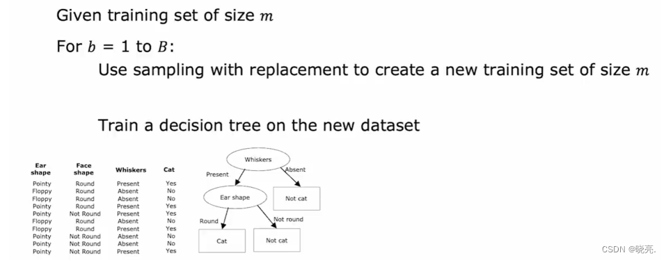 【机器学习】什么是决策树模型？如何去构建决策树？何时使用决策树？何时使用神经网络？