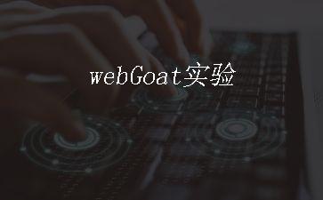 webGoat实验"