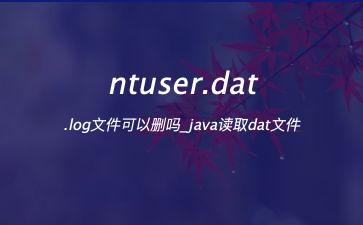 ntuser.dat.log文件可以删吗_java读取dat文件"