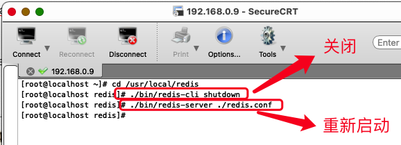 redis设置端口_redis如何设置密码及验证密码「建议收藏」