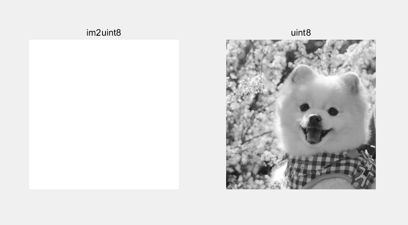 matlab double图像_数据类型有哪几种