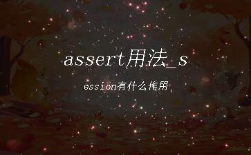assert用法_session有什么作用"