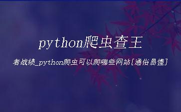 python爬虫查王者战绩_python爬虫可以爬哪些网站[通俗易懂]"