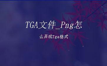 TGA文件_Png怎么弄成Tga格式"