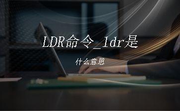 LDR命令_ldr是什么意思"