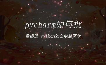 pycharm如何批量缩进_python怎么学最高效"