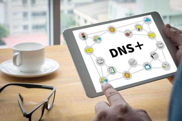 dns配置为公共dns的ip_dns的服务器地址是多少