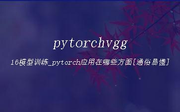 pytorchvgg16模型训练_pytorch应用在哪些方面[通俗易懂]"