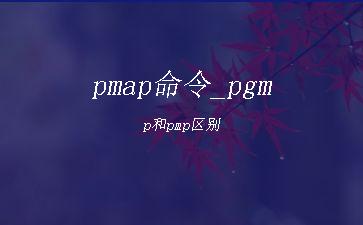 pmap命令_pgmp和pmp区别"