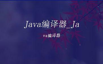 Java编译器_Java编译器"