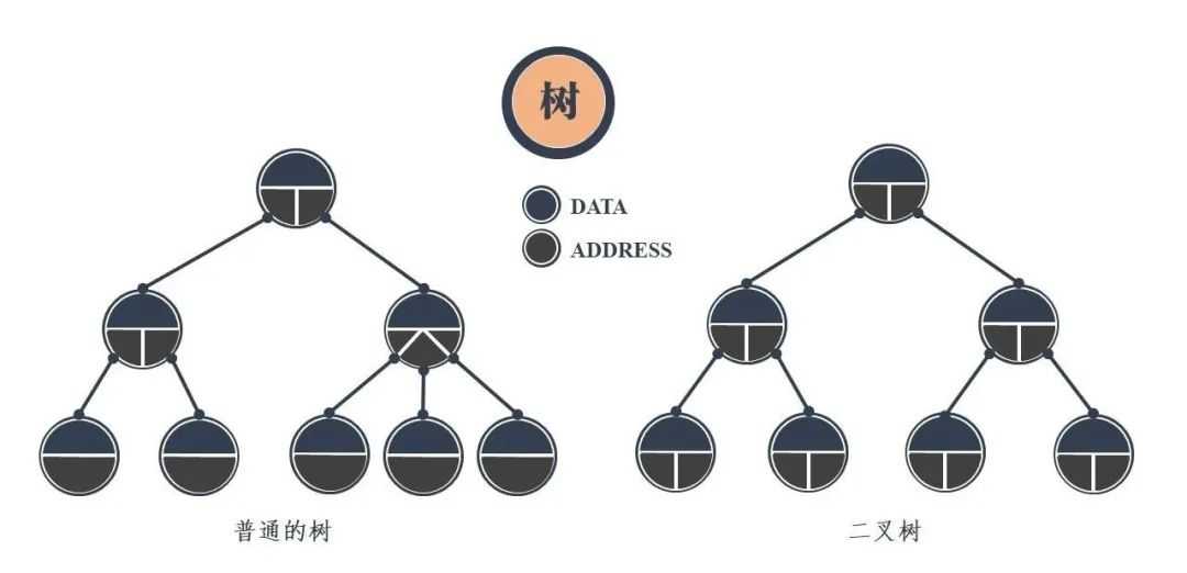 常见的数据结构类型包括哪些_数据结构知识点汇总