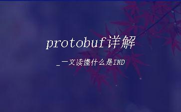 protobuf详解_一文读懂什么是IND"