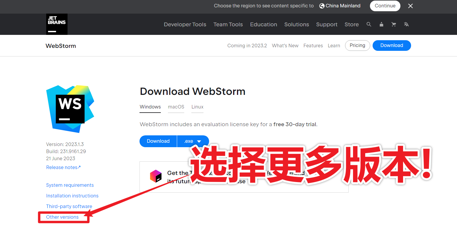 【开发工具】WebStorm 前端开发神器菜鸟必备,全网最稳定靠谱的安装教程 一镜到底、全程图文并茂、通俗易懂!