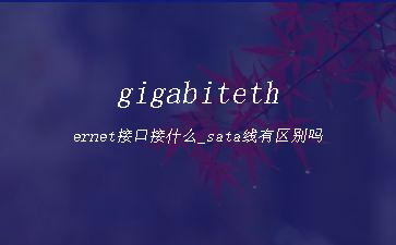 gigabitethernet接口接什么_sata线有区别吗"