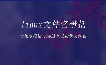 linux文件名带括号指令报错_shell获取最新文件名"