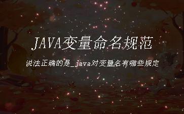 JAVA变量命名规范说法正确的是_java对变量名有哪些规定"