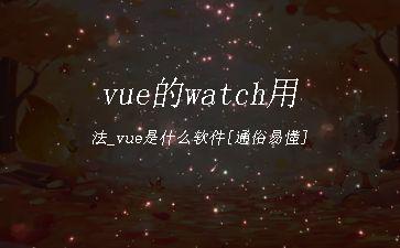 vue的watch用法_vue是什么软件[通俗易懂]"