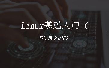 Linux基础入门（常用指令总结）"