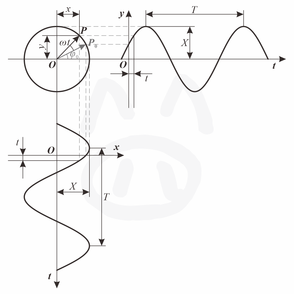 图2 简谐运动的矢量表示法