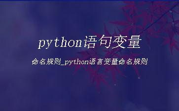 python语句变量命名规则_python语言变量命名规则"